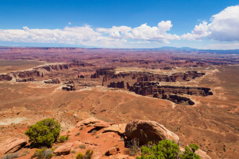 Canyonlands Nationalpark - Auf dem Weg zum Grand View Point mit Aussicht Richtung Colorado River