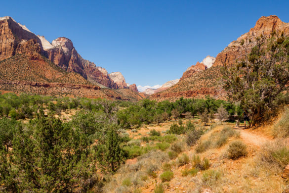 Zion Nationalpark - Zion Canyon