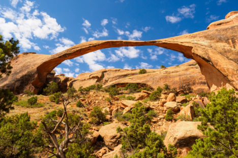 Arches Nationalpark - Landscape Arch