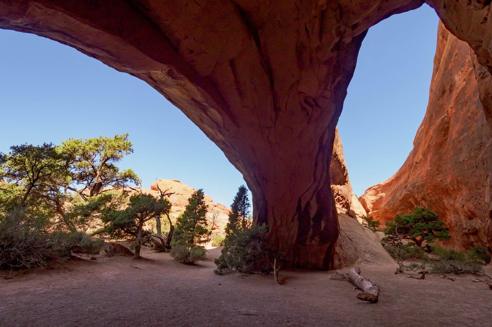 Arches Nationalpark - Navajo Arch