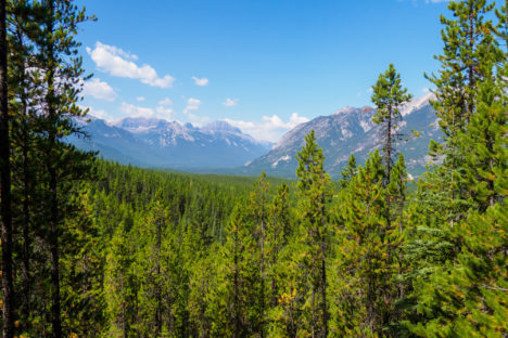 Banff Nationalpark - Aussicht vom Sundance Canyon