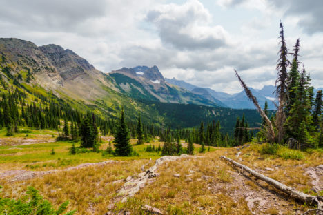 Glacier Nationalpark - Highline Trail