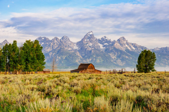 Grand Teton Nationalpark - Farmhaus vor dem Grand Teton