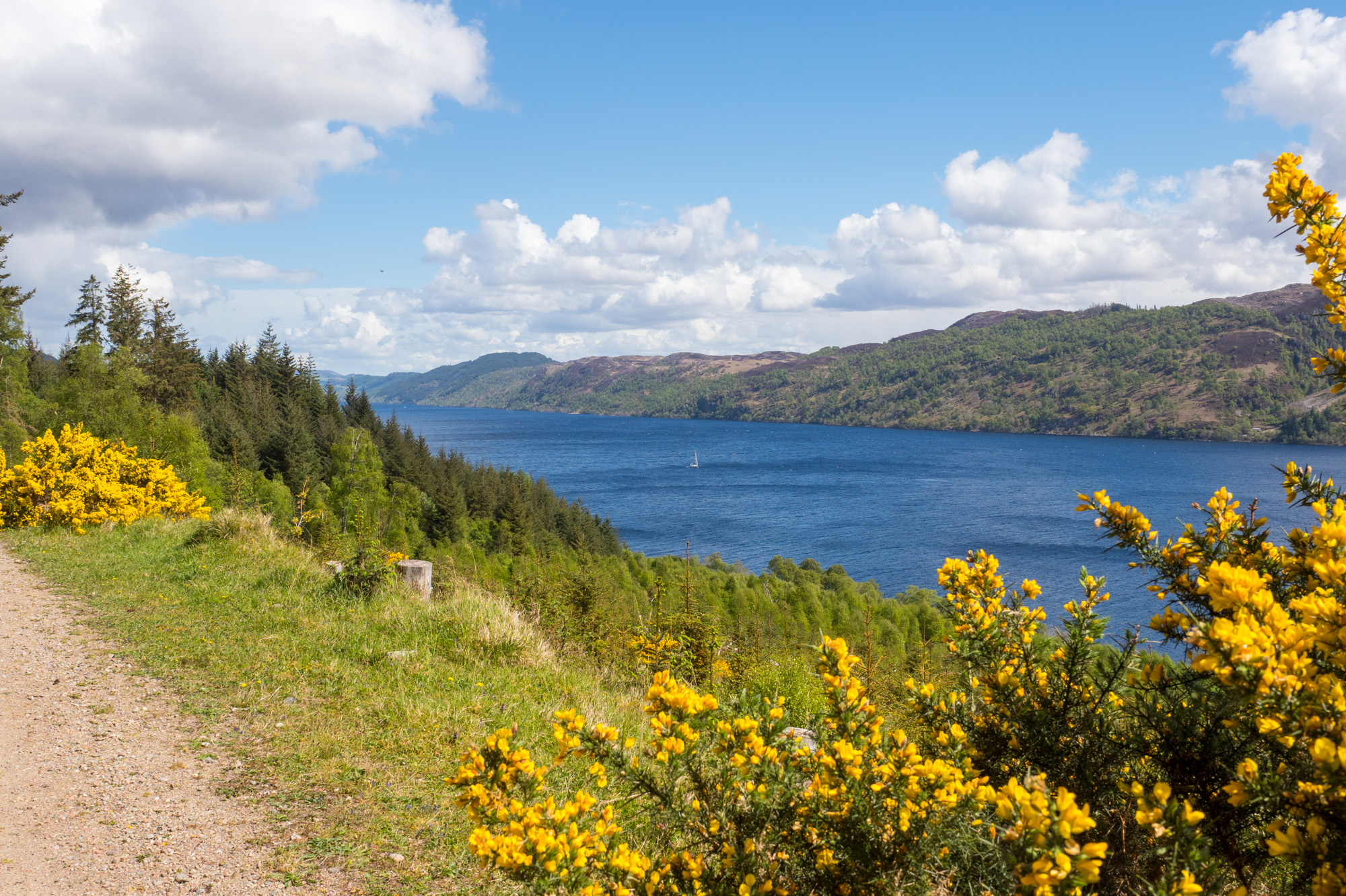 Great Glen Way - Am Loch Ness