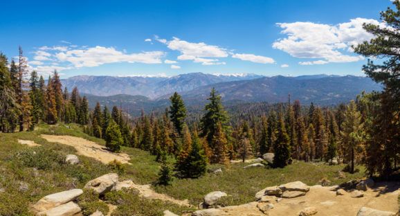 Kings Canyon Nationalpark - Aussicht vom Kings Canyon Panoramic Point auf den Kings Canyon
