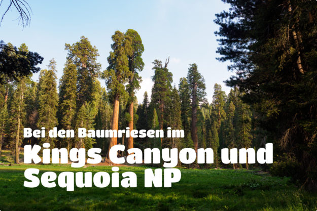 Kings Canyon und Sequoia -