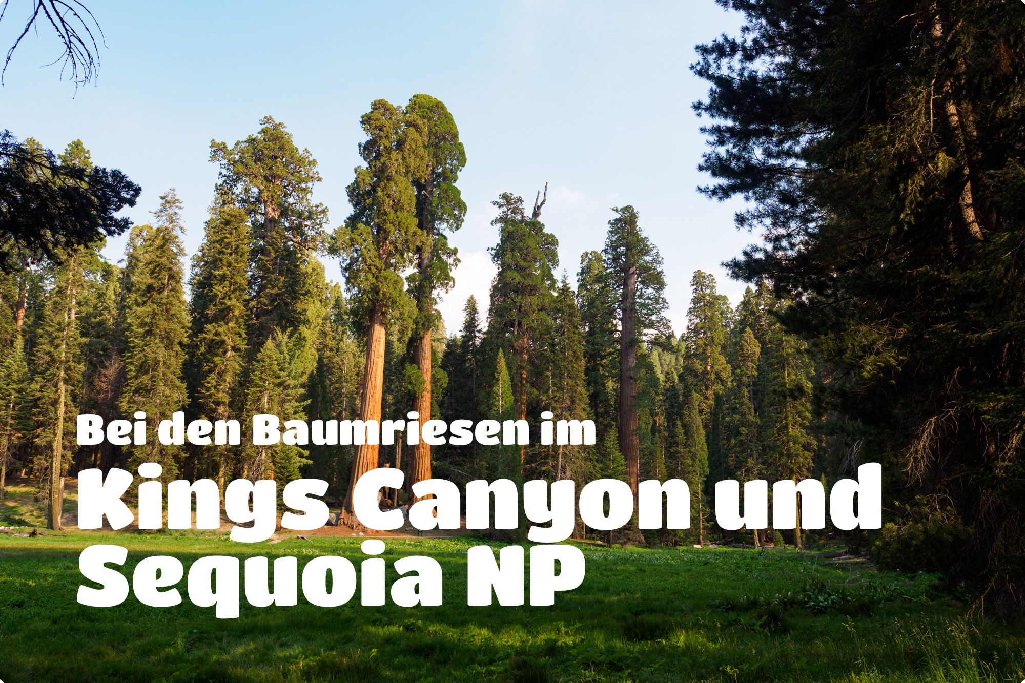 Kings Canyon und Sequoia Nationalpark snailontrail.ch