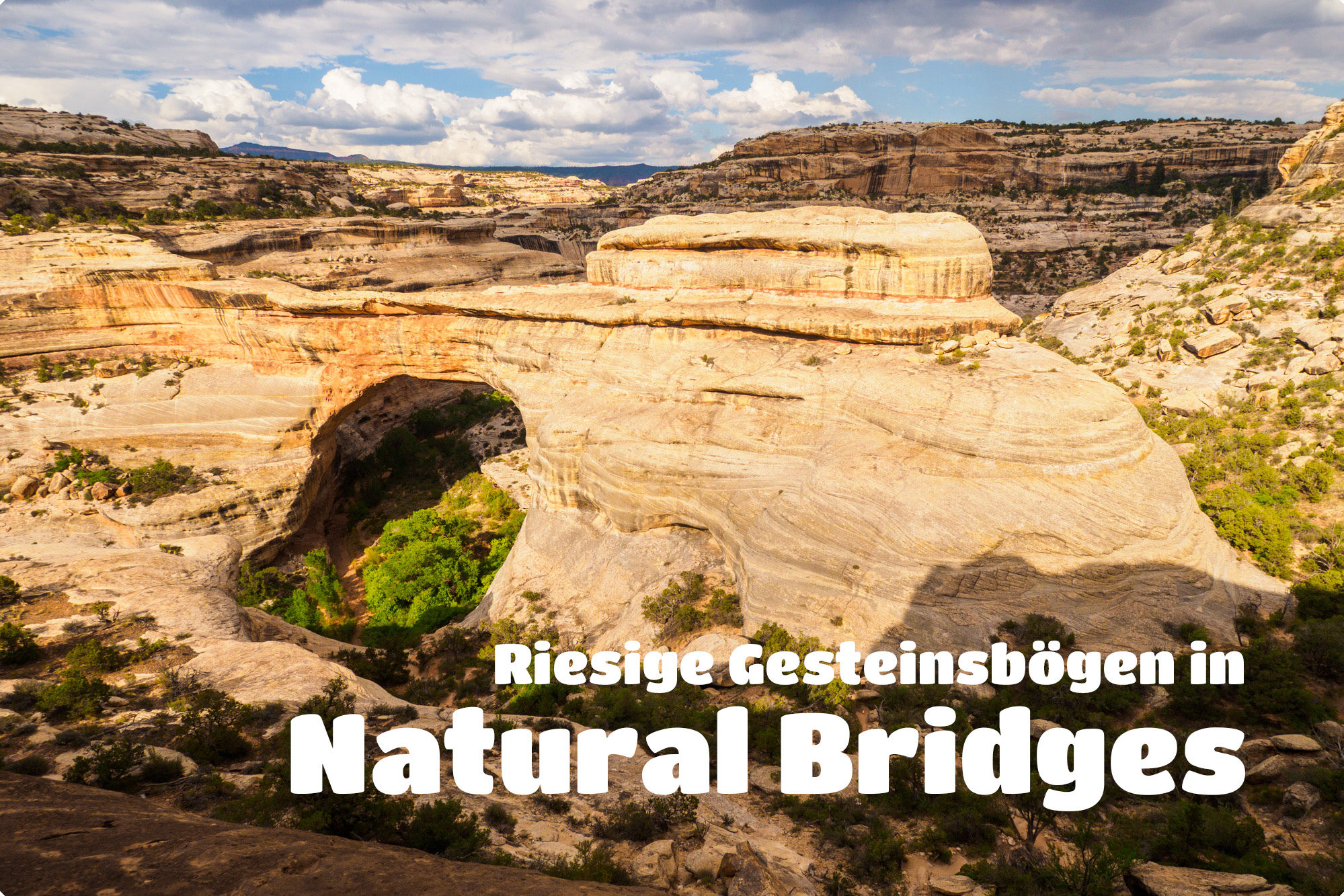 Natural Bridges National Monument -