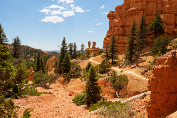 Red Canyon - Pink Ledges Trail