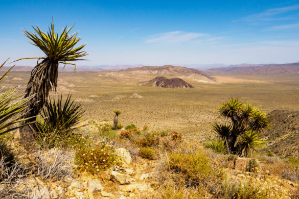 Joshua Tree Nationalpark - Aussicht vom Hügel hinter der Lost Horse Mine