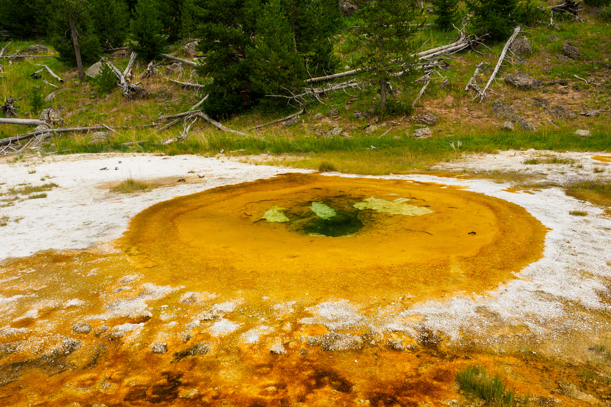 Yellowstone Nationalpark - Farbige Quelle im Upper Geyser Basin