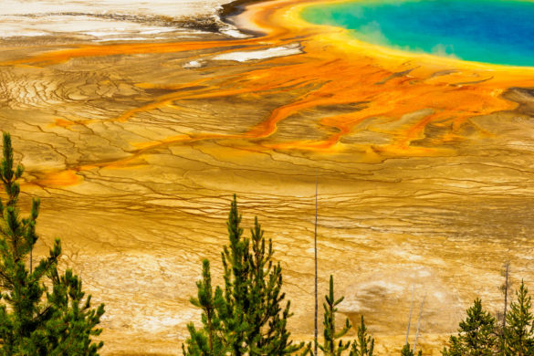 Yellowstone Nationalpark - Grand Prismatic Spring