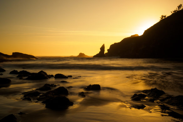 Olympic Nationalpark - Second Beach bei La Push