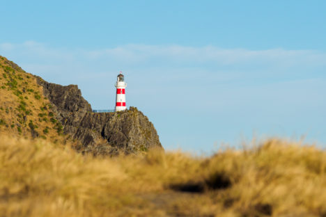 Cape Palliser - Cape Palliser Leuchtturm