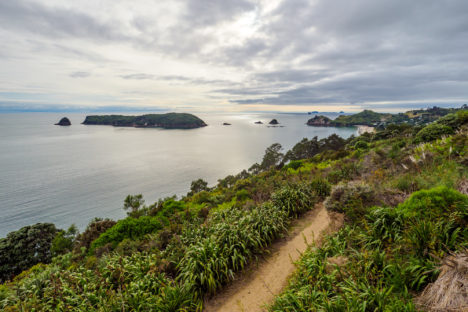 Coromandel - Cathedral Cove Trail