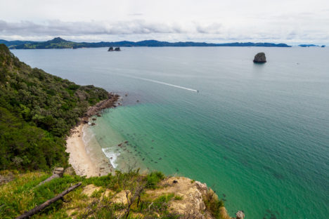 Coromandel - Aussicht auf die Küste der Coromandel Halbinsel
