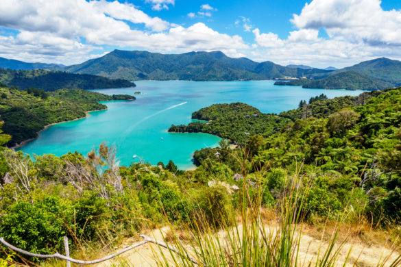 Marlborough Sounds - Kenepuru Sound