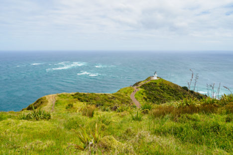 Northlands - Cape Reinga