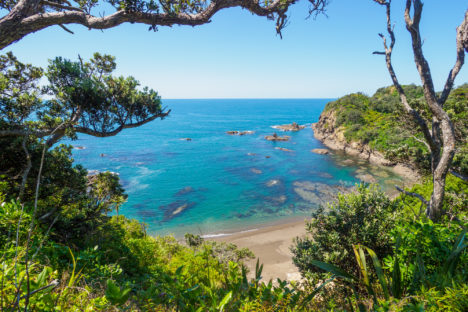 Northlands - Matapouri Bay