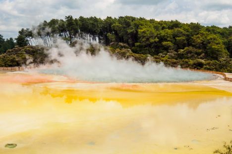 Rotorua und Taupo - Champagner-Pool in Wai-O-Tapo
