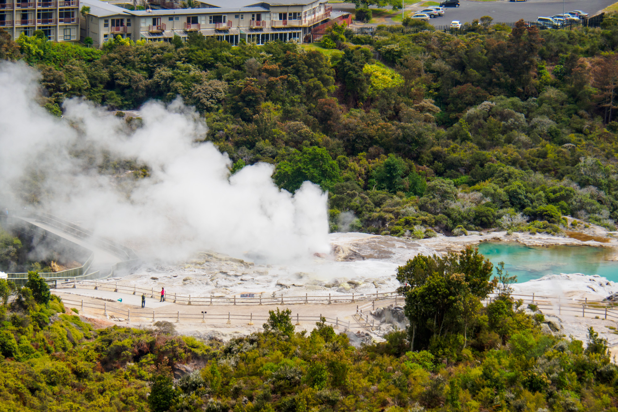 Rotorua und Taupo - Pohutu Geysir in Rotorua