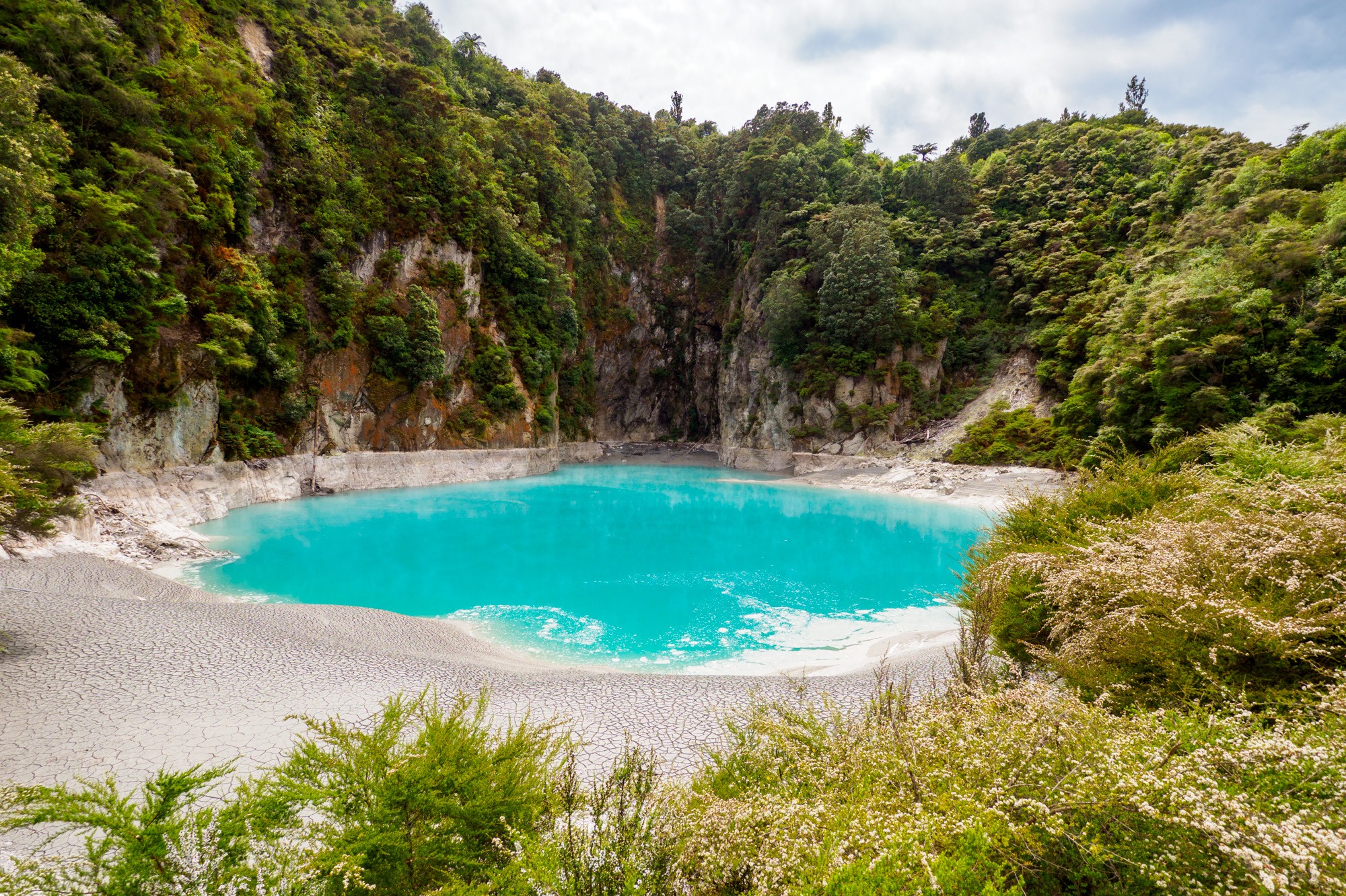 Rotorua und Taupo - Inferno Crater Lake im Waimangu Volcanic and Thermal Valley