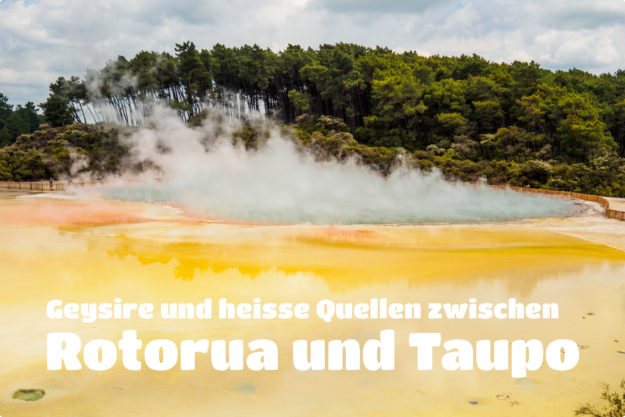 Rotorua und Taupo Beitragsbild -