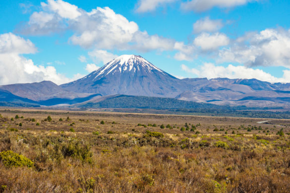 Tongariro - Blick auf den Mt Ngauruhoe