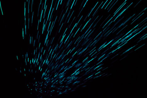 Waitomo - Glühwürmchen an der Höhlendecke