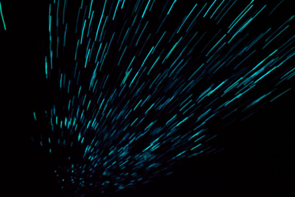 Waitomo - Glühwürmchen an der Höhlendecke