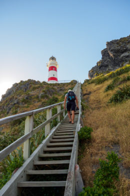 Cape Palliser - Aufstieg zum Cape Palliser Leuchtturm