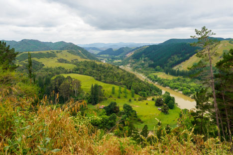 Whanganui Nationalpark - Whanganui River