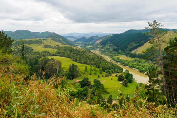 Whanganui Nationalpark - Whanganui River