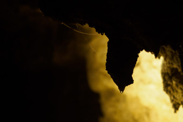 Waitomo - Höhlenformationen