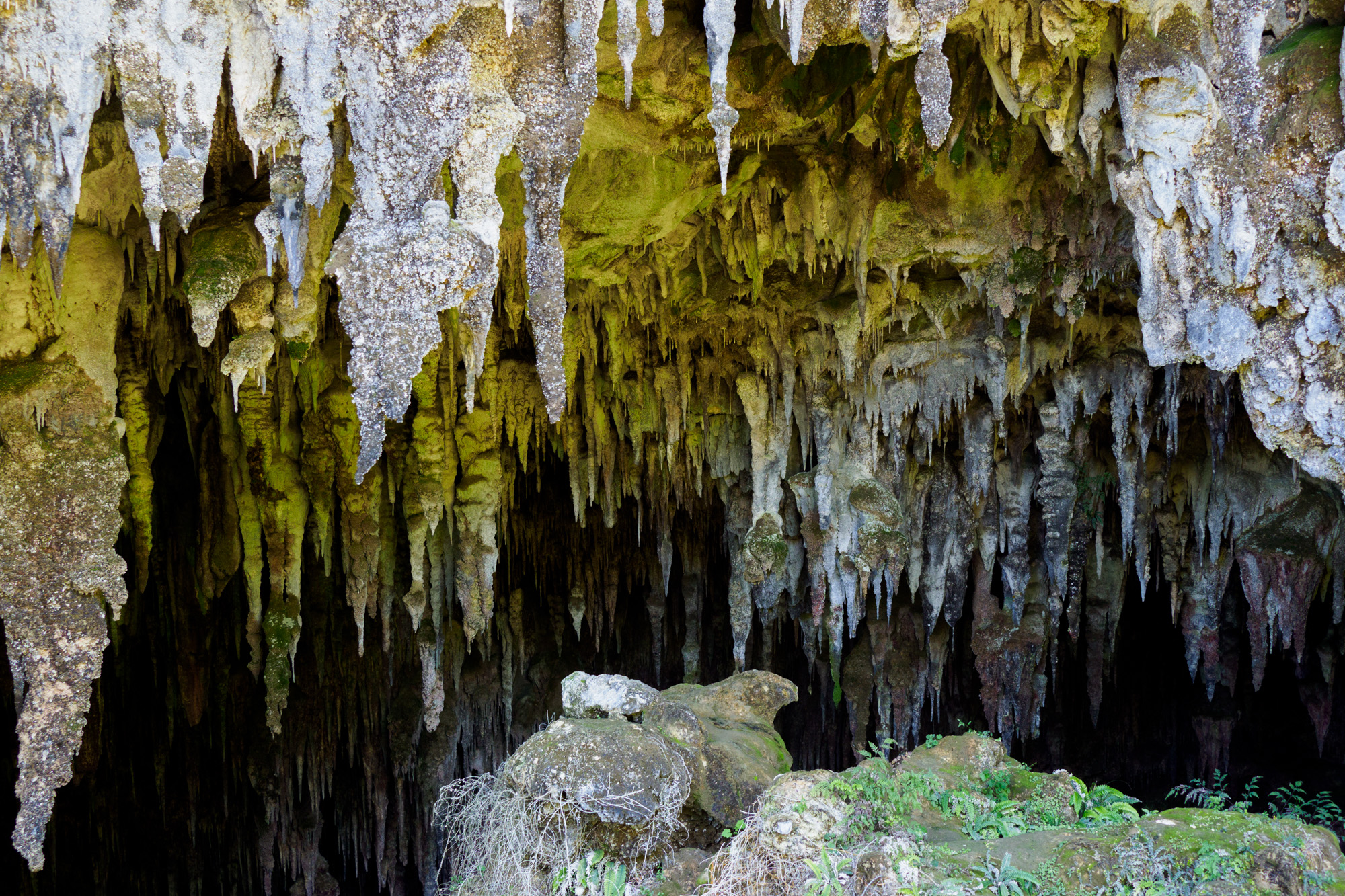 Abel Tasman Nationalpark - Rawhiti Cave
