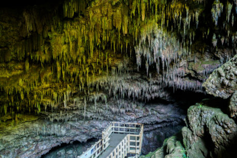 Abel Tasman Nationalpark - Rawhiti Cave