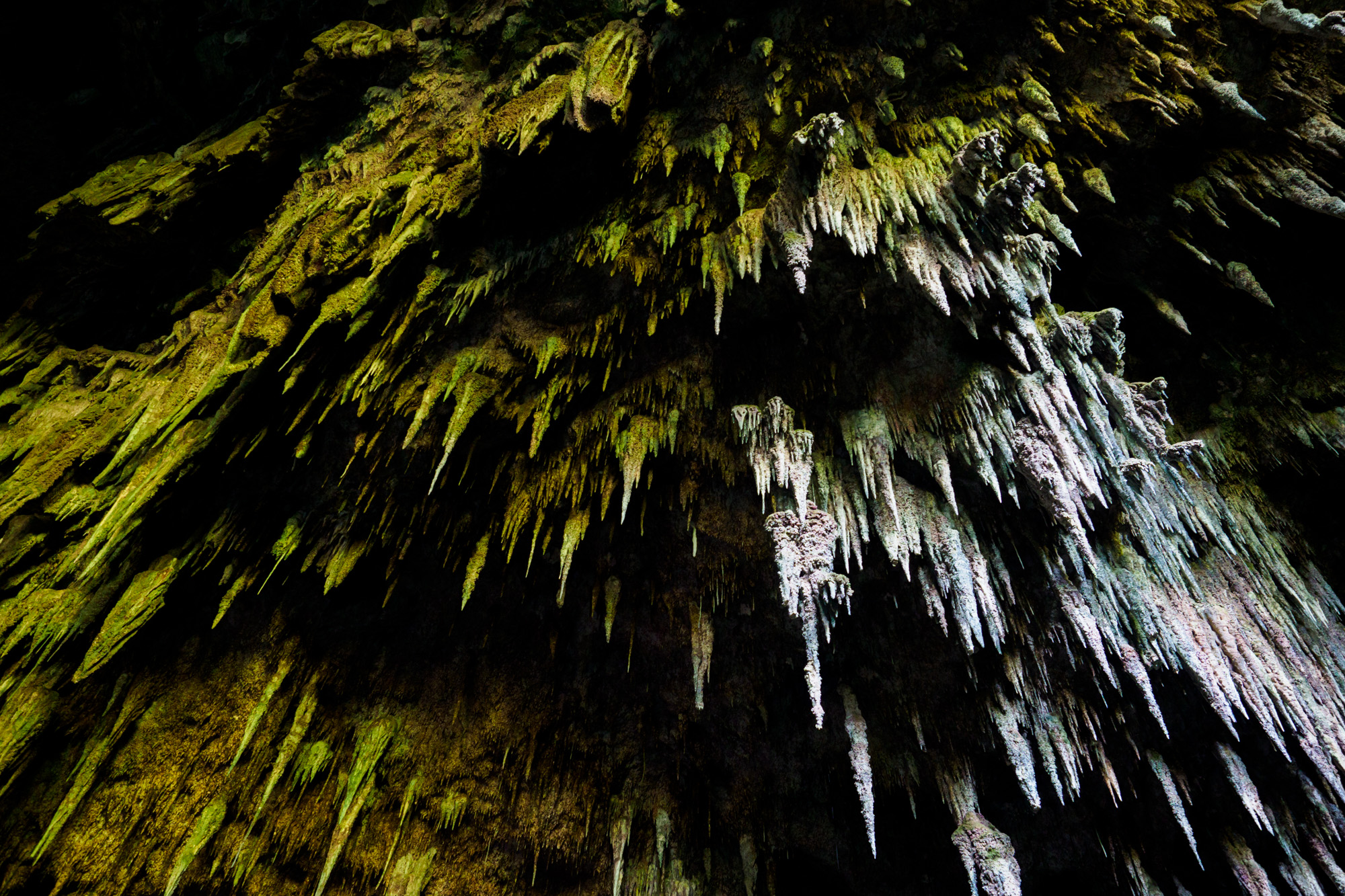 Abel Tasman Nationalpark - Rawhiti Cave