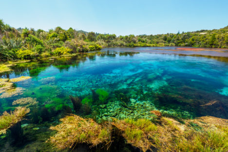 Abel Tasman Nationalpark - Te Waikoropupu Springs