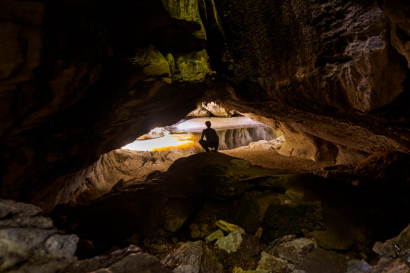 Kahurangi Nationalpark - Maria Gate Arch im Oparara Basin
