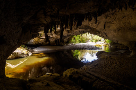 Kahurangi Nationalpark - Maria Gate Arch im Oparara Basin
