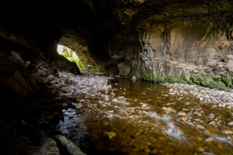 Kahurangi Nationalpark - Oparara Arch im Oparara Basin