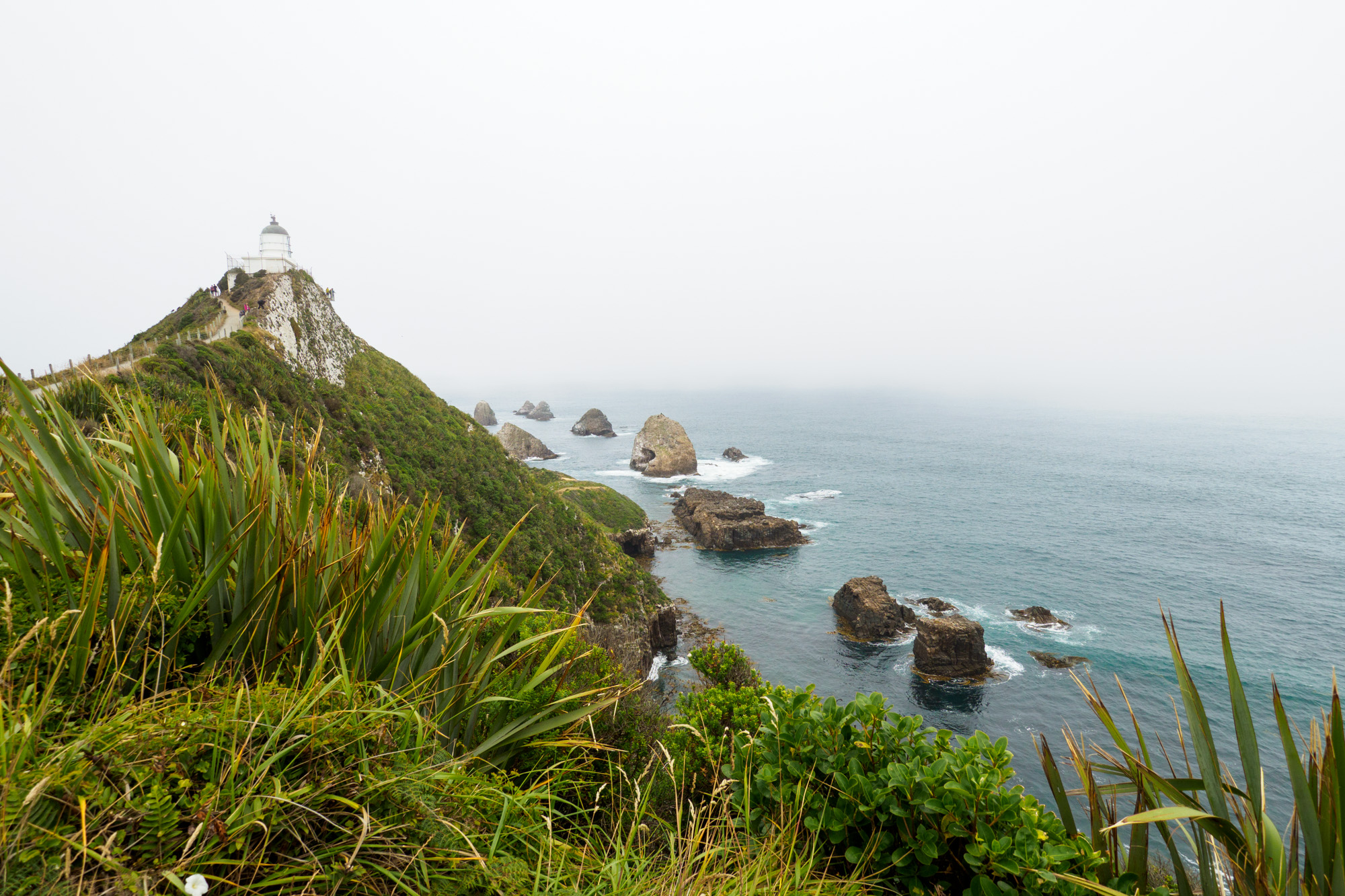 Catlins - Nugget Point Lighthouse