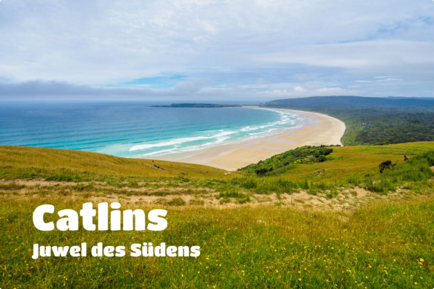 Catlins Beitragsbild -