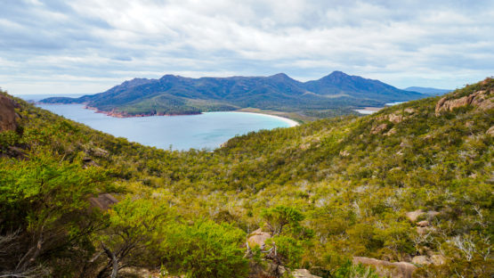 Freycinet Nationalpark - Wineglas Bay Lookout