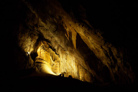 Great Western Tiers - Kathedrale in der Marakoopa Cave