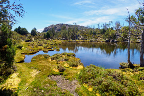 Great Western Tiers - Pool of Bethesda bei der Walls of Jerusalem