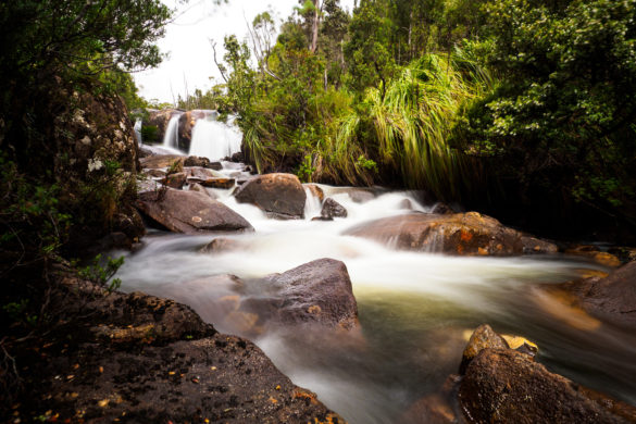 Hartz Mountain Nationalpark - Arve Falls