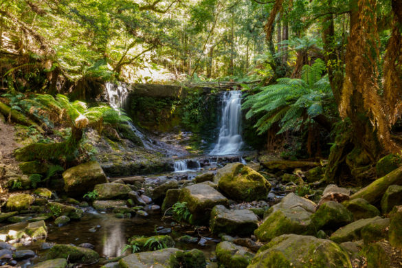 Mt Field Nationalpark - Horseshoe Falls