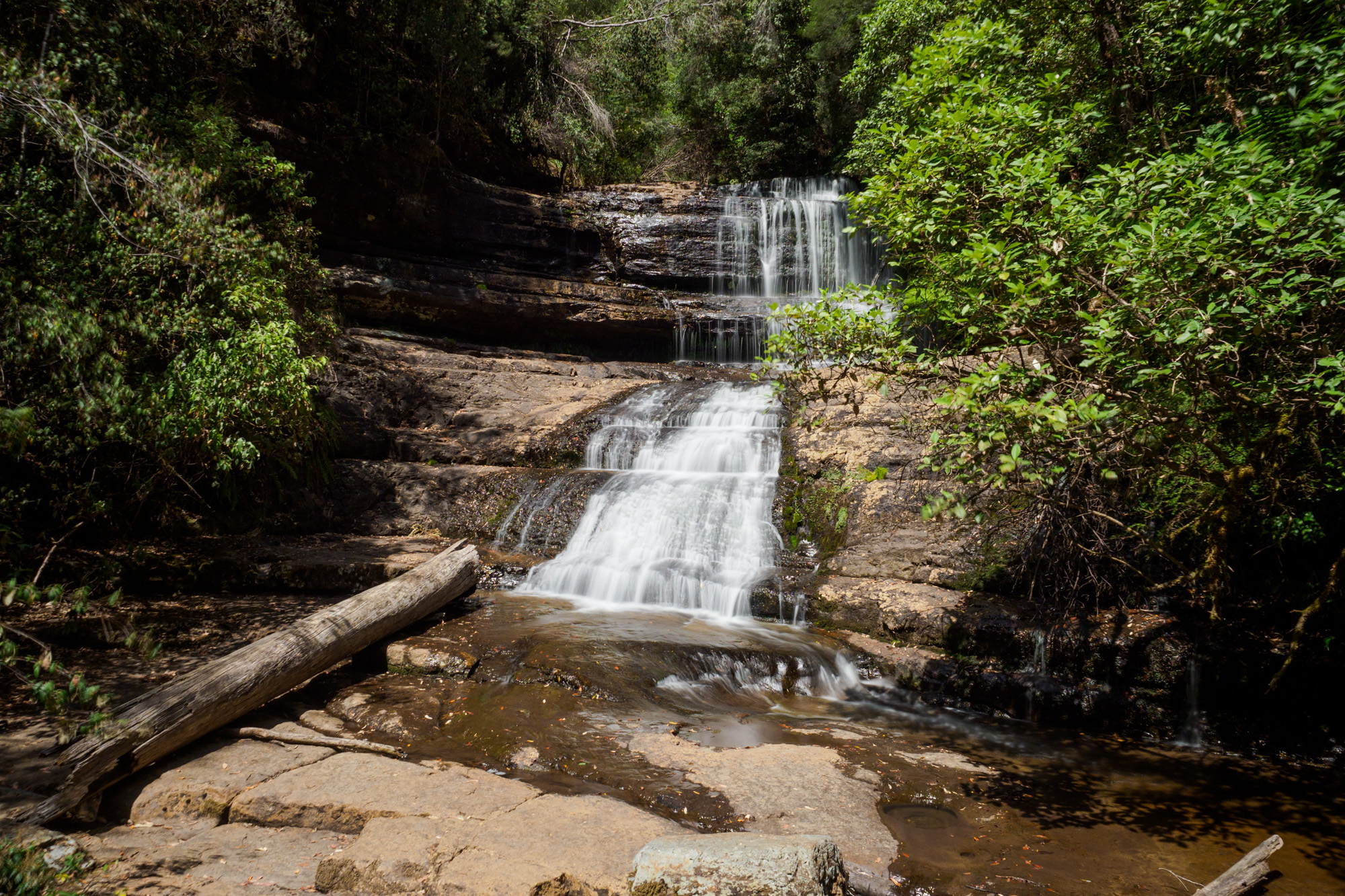 Mt Field Nationalpark - Lady Barron Falls