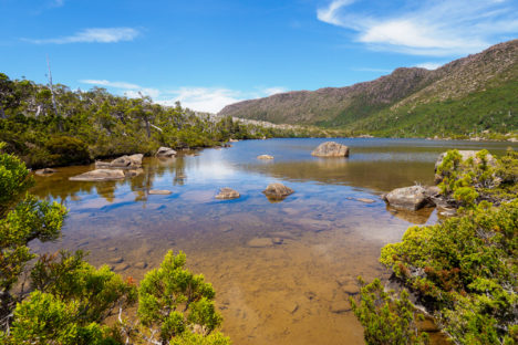Mt Field Nationalpark - Lake Newdegate